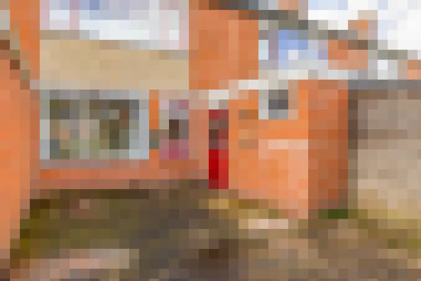 Westerholm 13 Noordbroek thumbnail 35