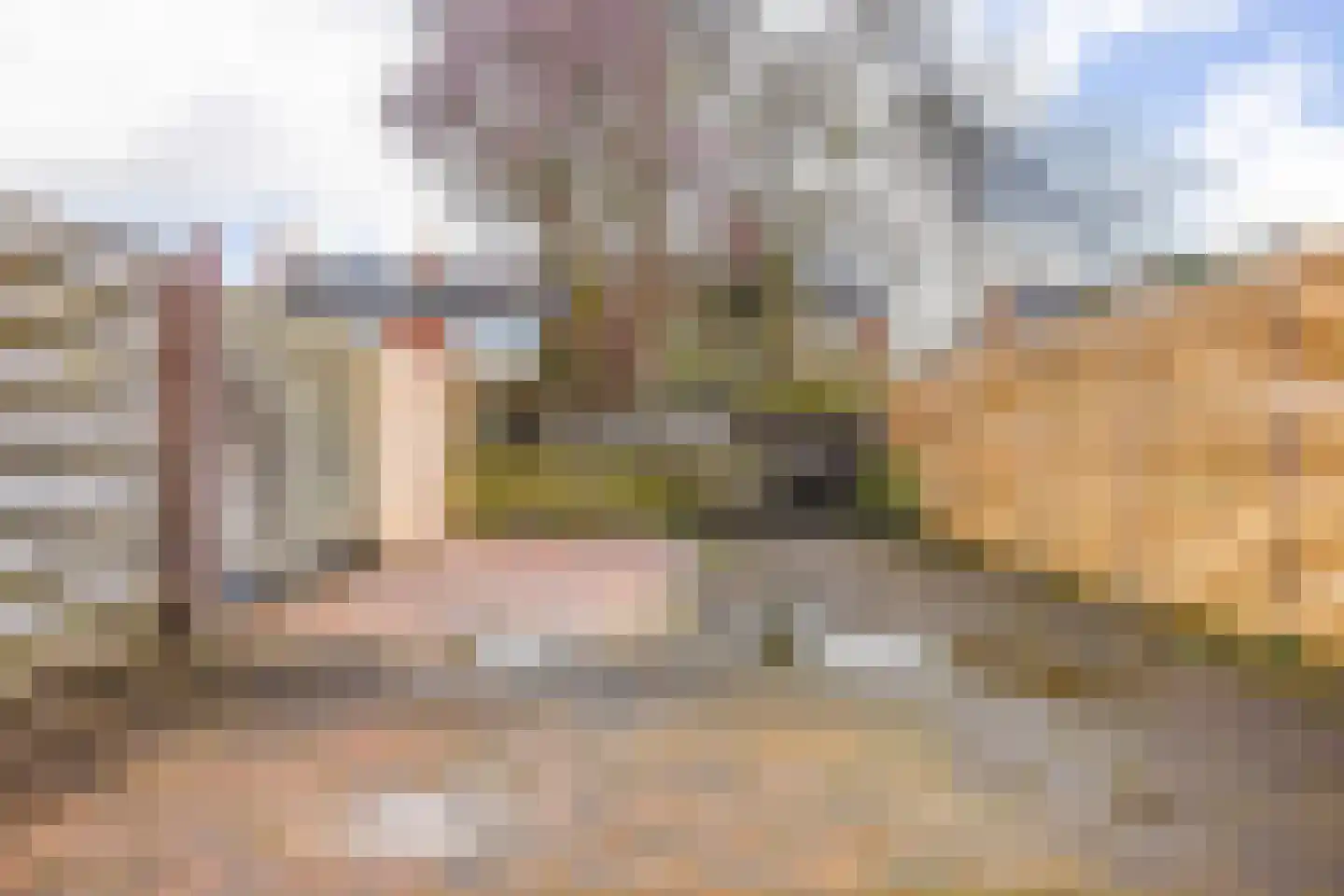 Westerholm 13 Noordbroek thumbnail 37