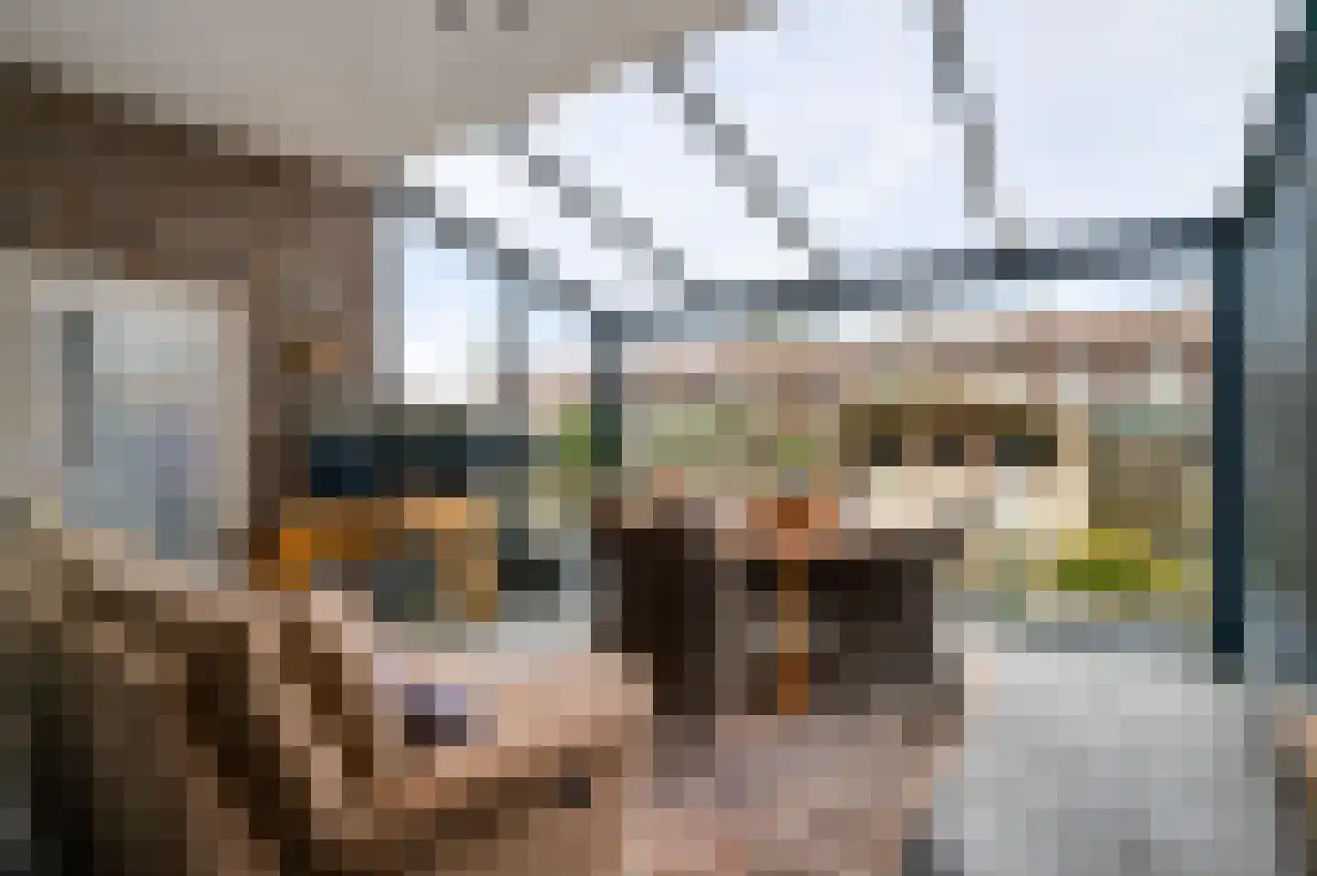 Westerholtstraat 67 Horst thumbnail 20