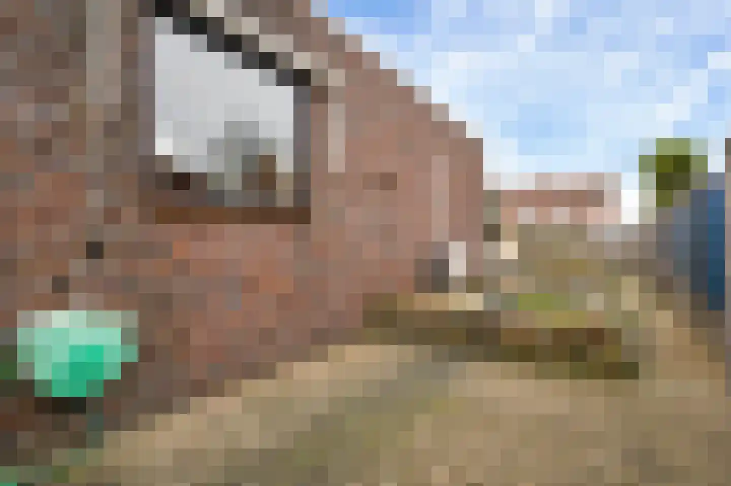 Westerholtstraat 67 Horst thumbnail 39