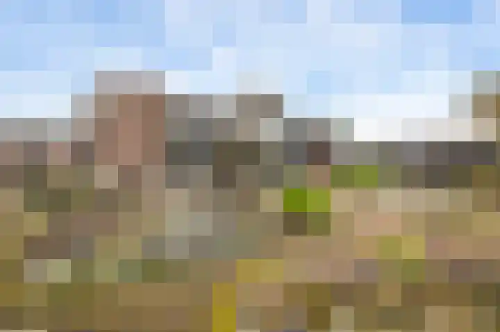 Westerholtstraat 67 Horst thumbnail 4