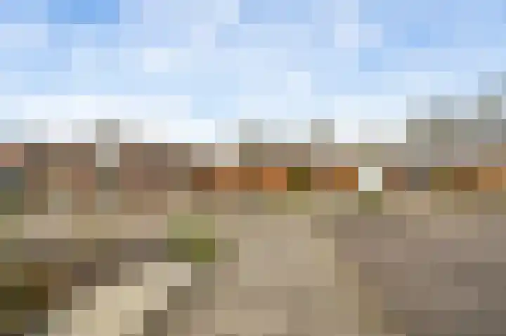 Westerholtstraat 67 Horst thumbnail 6