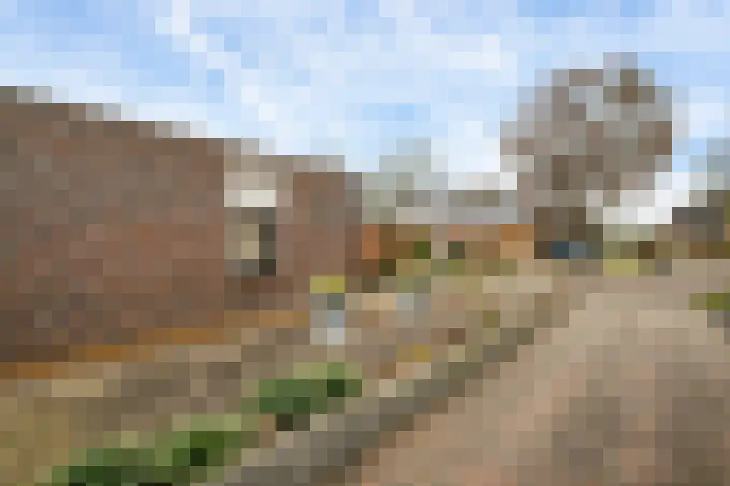 Westerholtstraat 67 Horst thumbnail 7