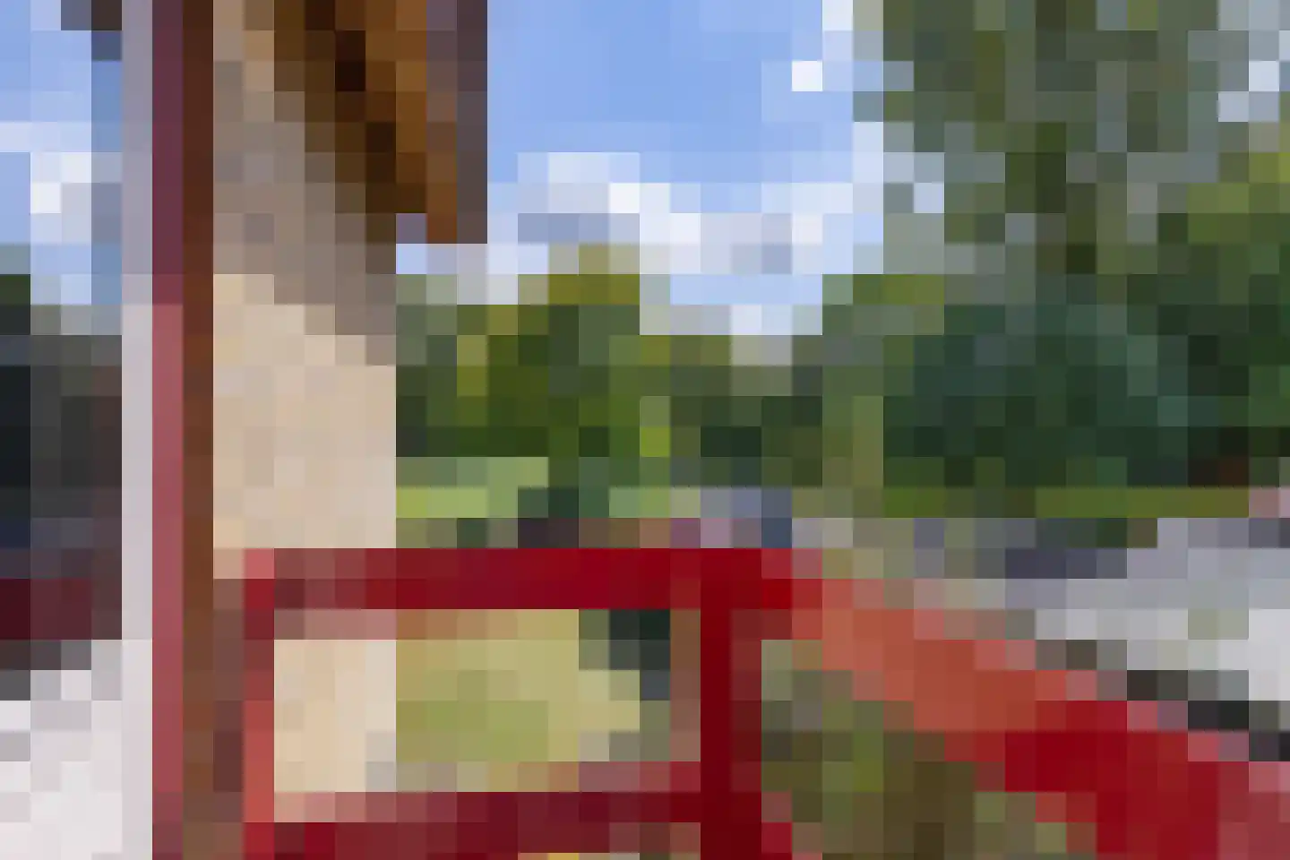 Westerhorn 14 Eelde thumbnail 26