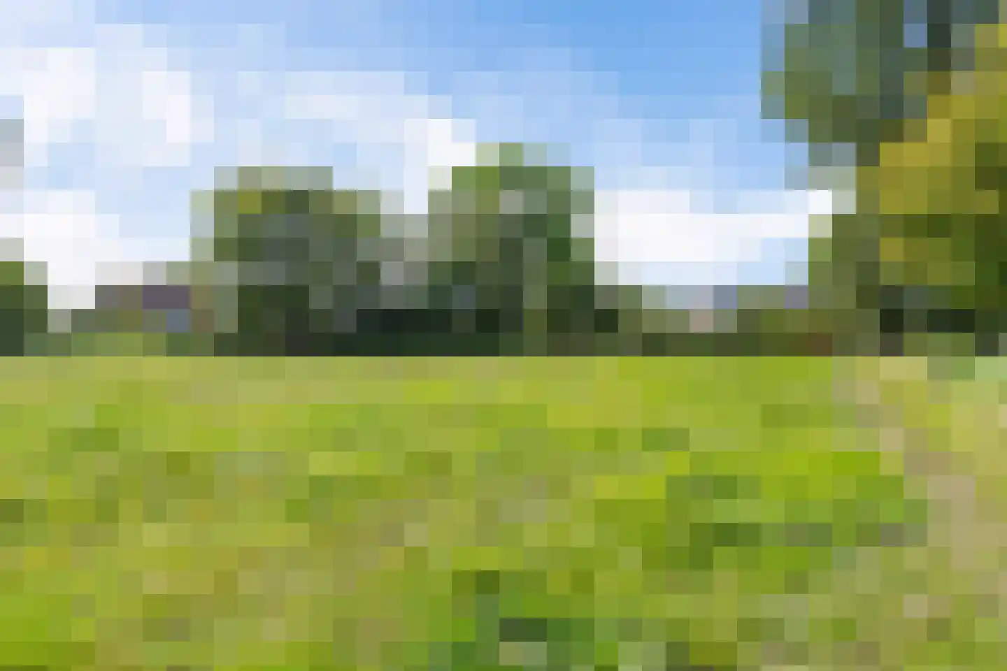 Westerhorn 14 Eelde thumbnail 33
