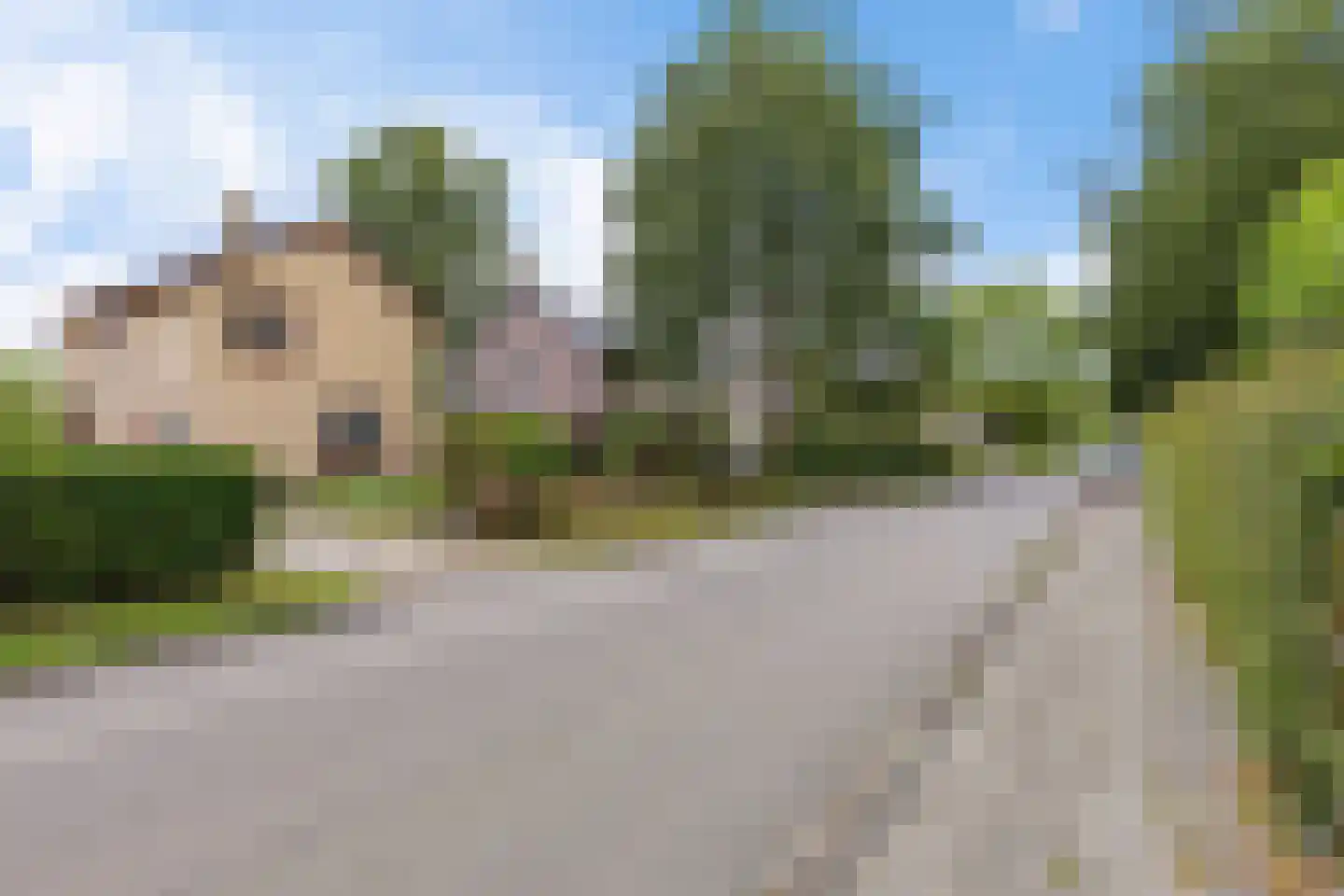 Westerhorn 14 Eelde thumbnail 36