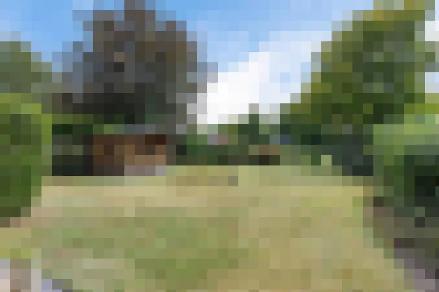 Westerhorn 14 Eelde thumbnail 4