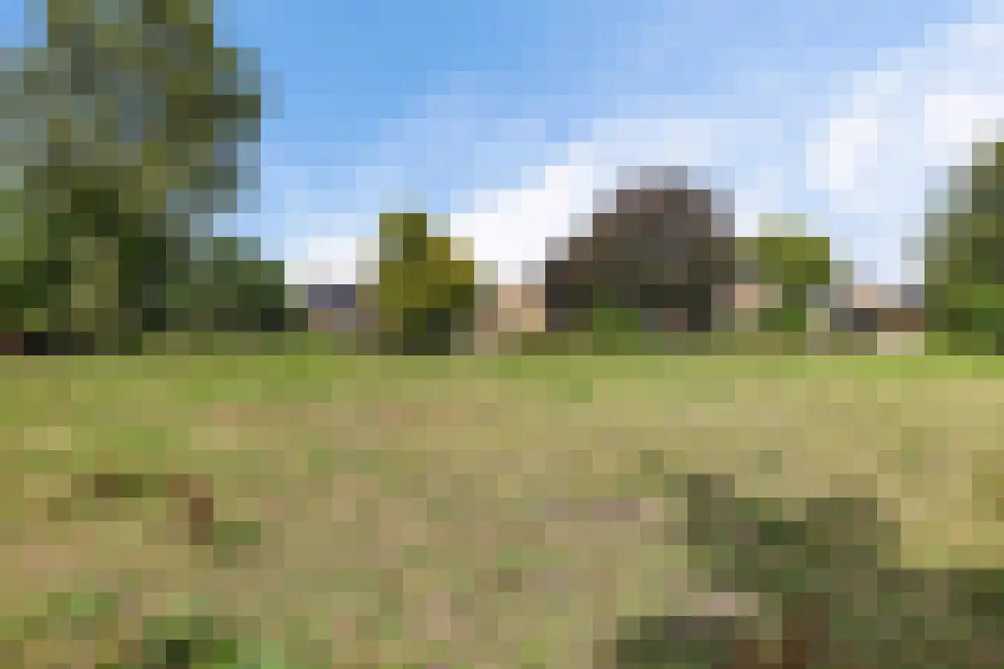 Westerhorn 14 Eelde thumbnail 5