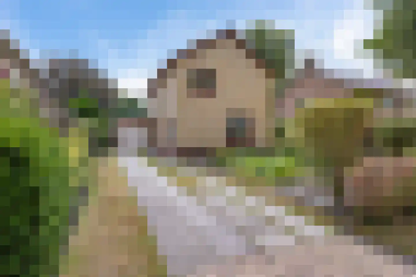 Westerhorn 14 Eelde thumbnail 6