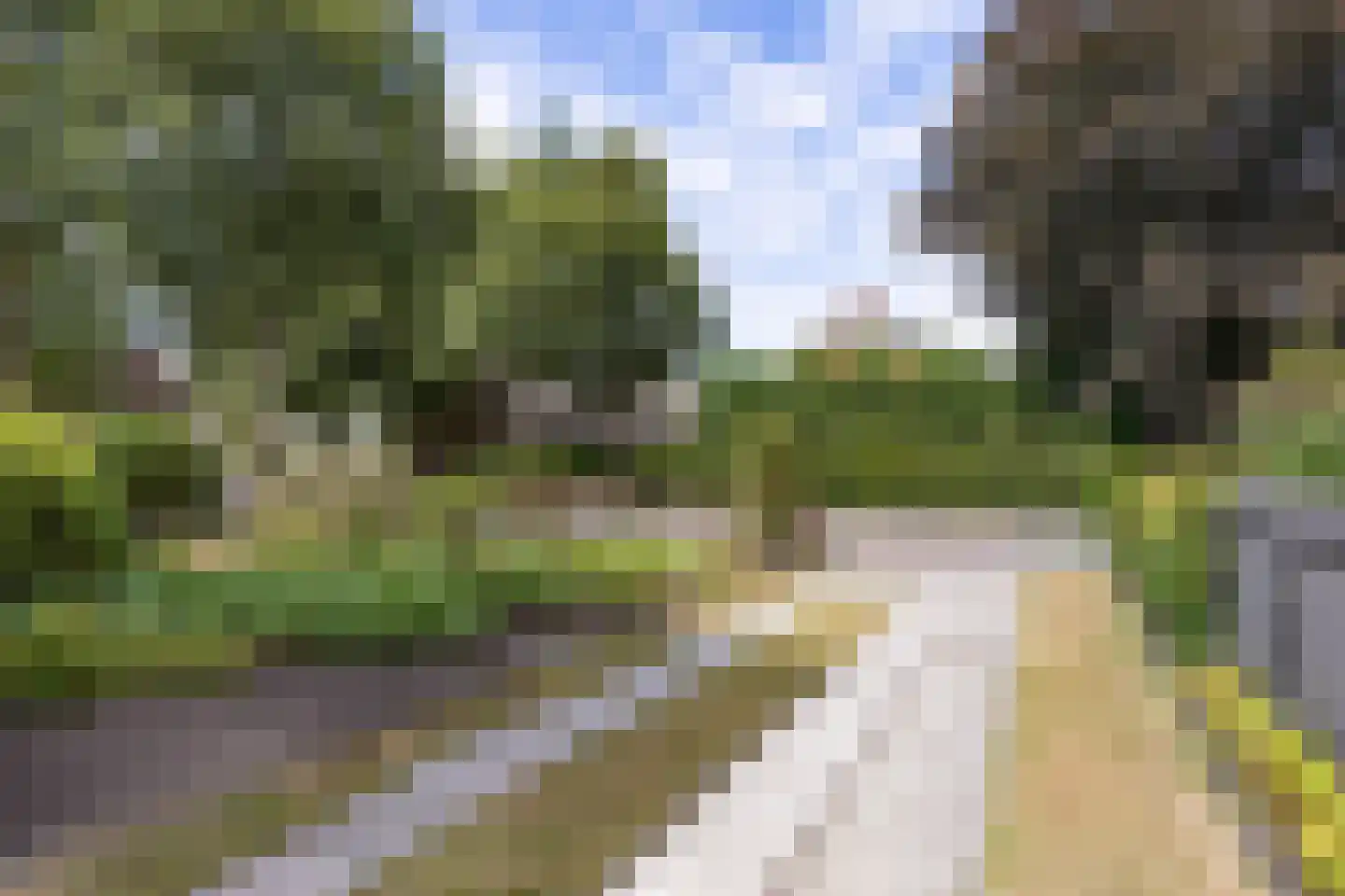 Westerhorn 14 Eelde thumbnail 8