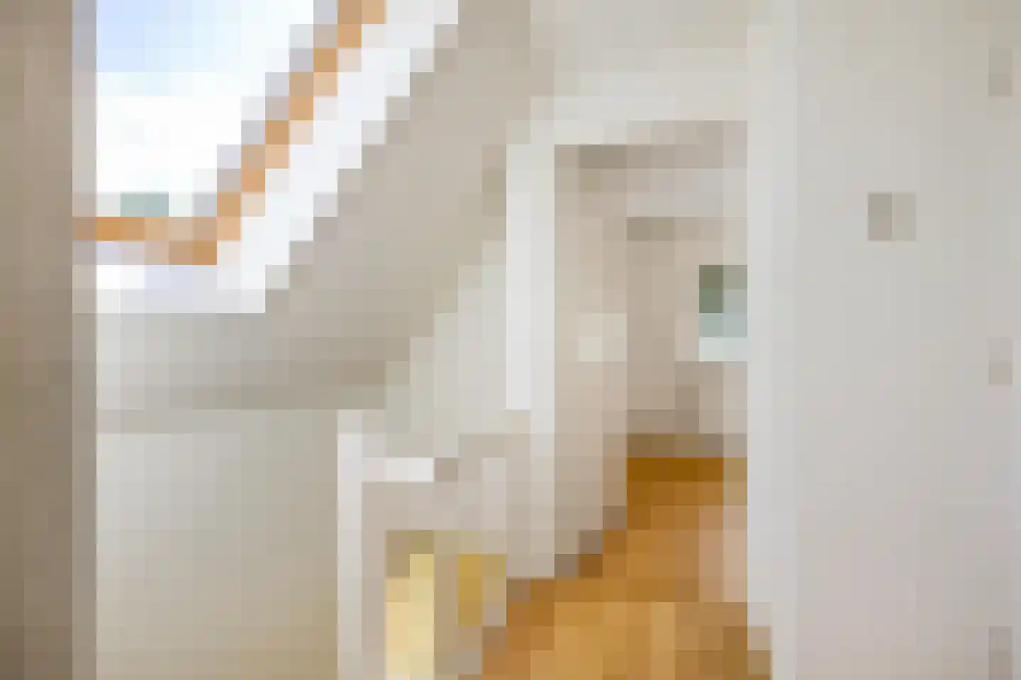 Westerhorn 17 Eelde thumbnail 26