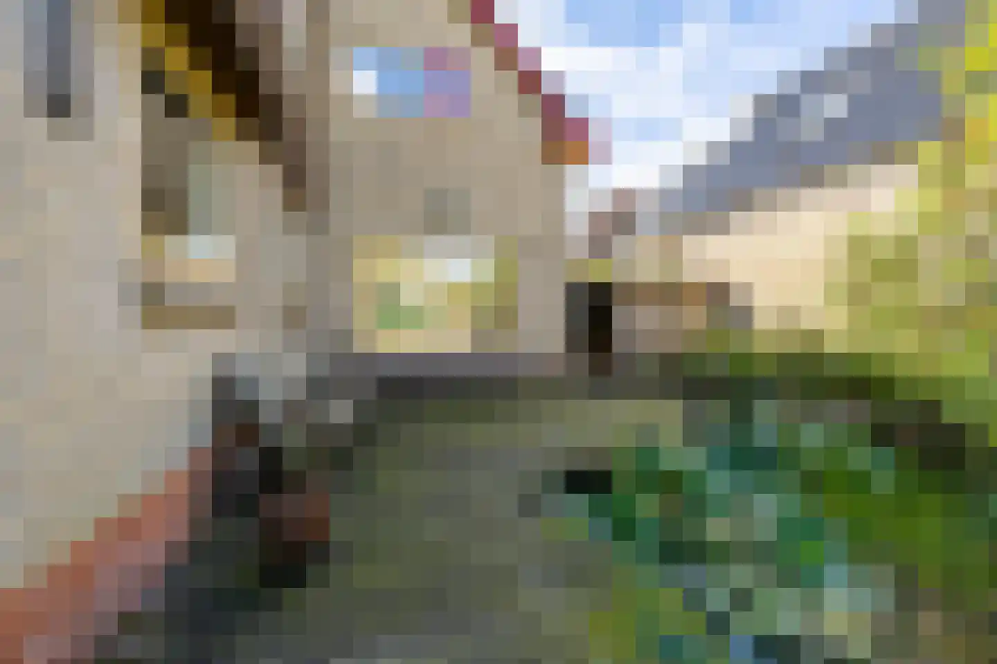 Westerhorn 17 Eelde thumbnail 46