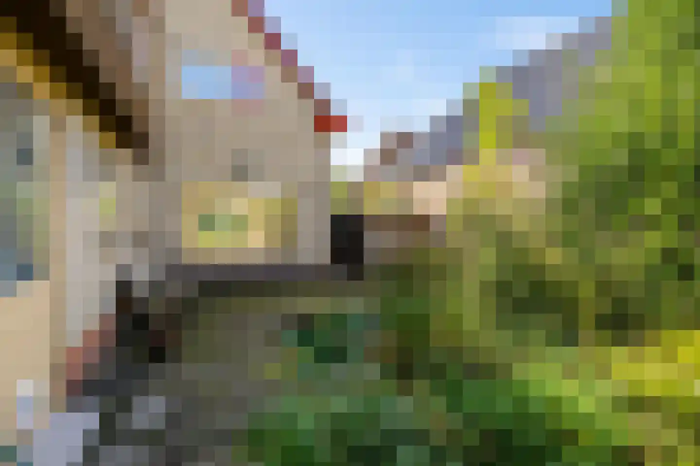 Westerhorn 17 Eelde thumbnail 50