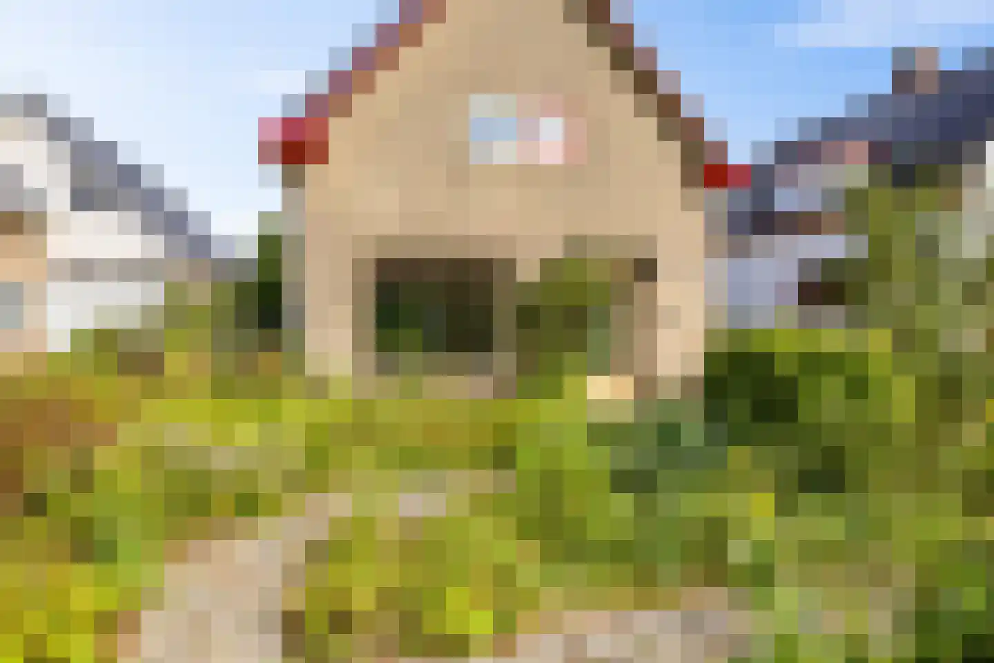 Westerhorn 17 Eelde thumbnail 9