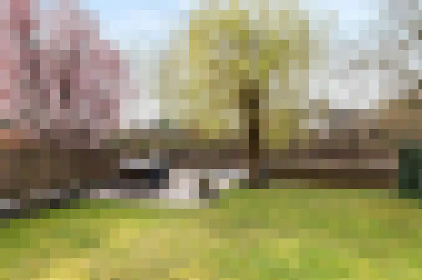 Westerhout 13 Noordwijkerhout thumbnail 13