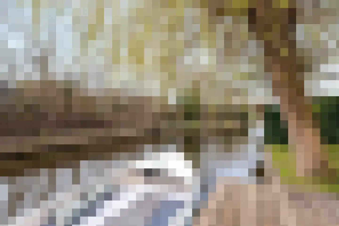 Westerhout 13 Noordwijkerhout thumbnail 14