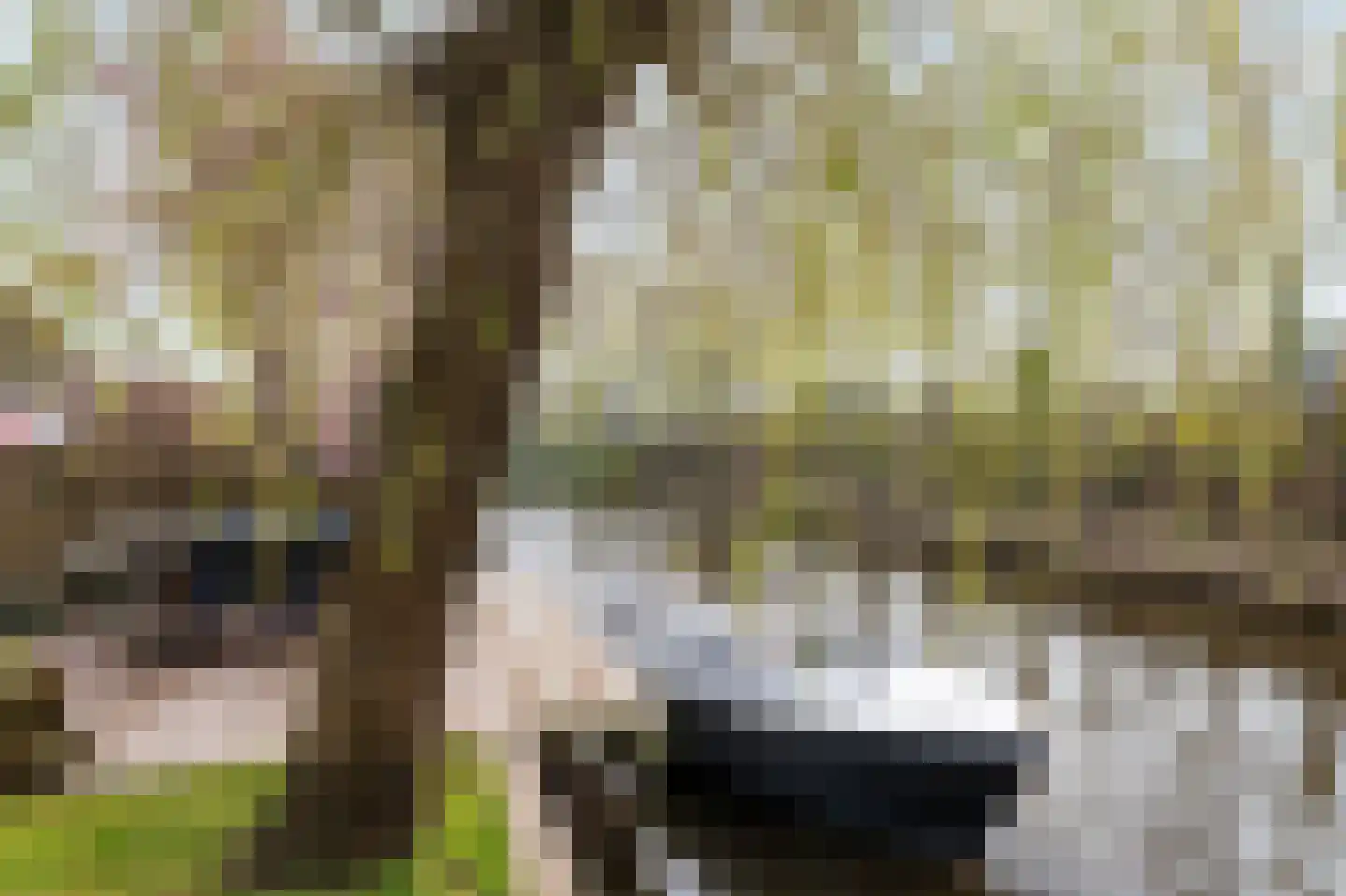 Westerhout 13 Noordwijkerhout thumbnail 17