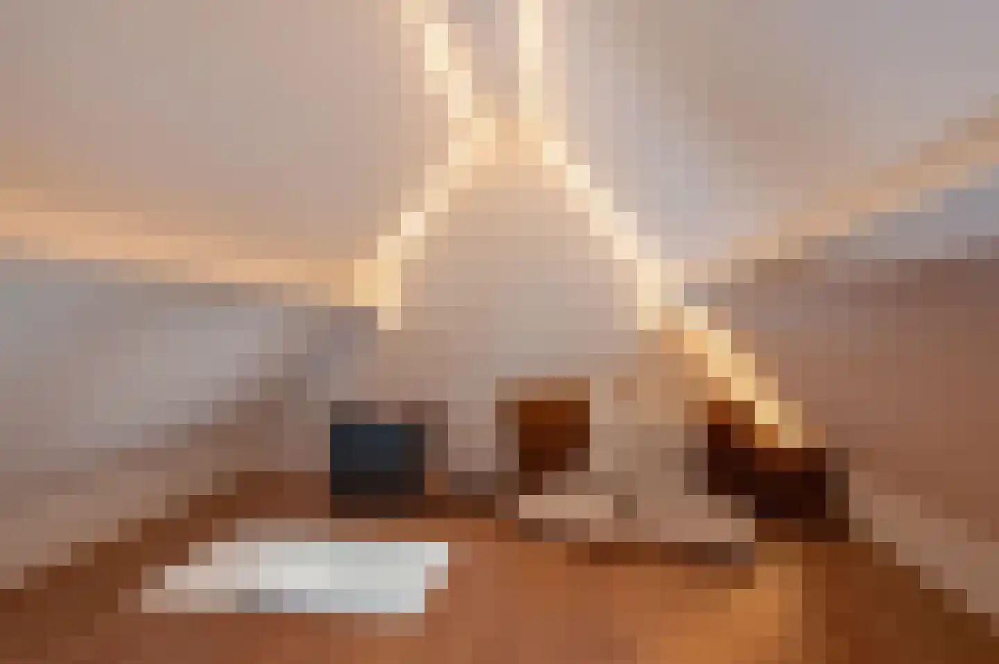 Westerhout 13 Noordwijkerhout thumbnail 30