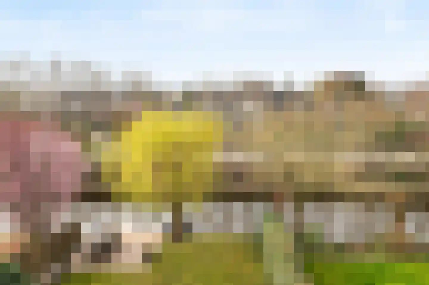 Westerhout 13 Noordwijkerhout thumbnail 33