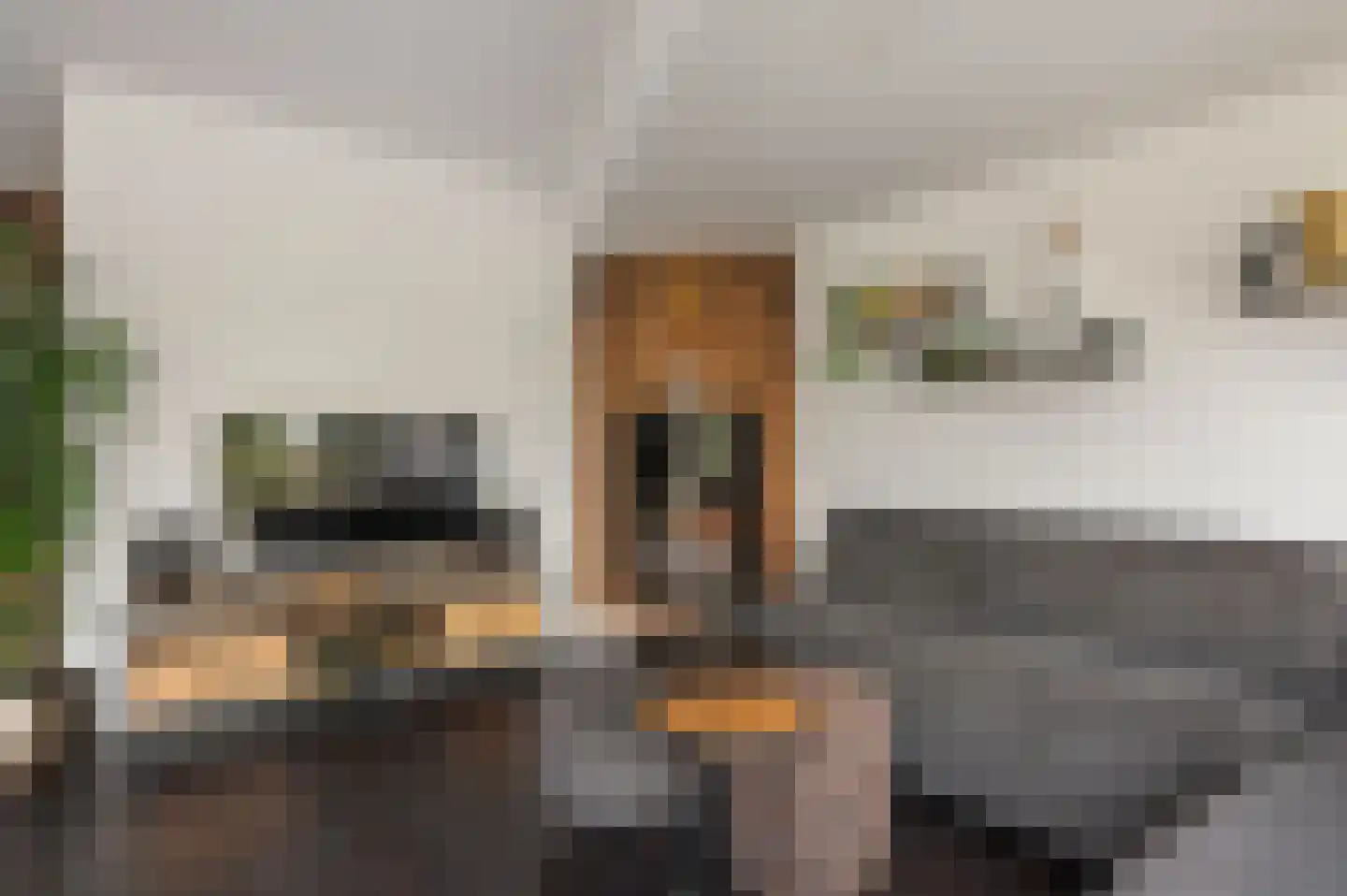 Westerhout 13 Noordwijkerhout thumbnail 7