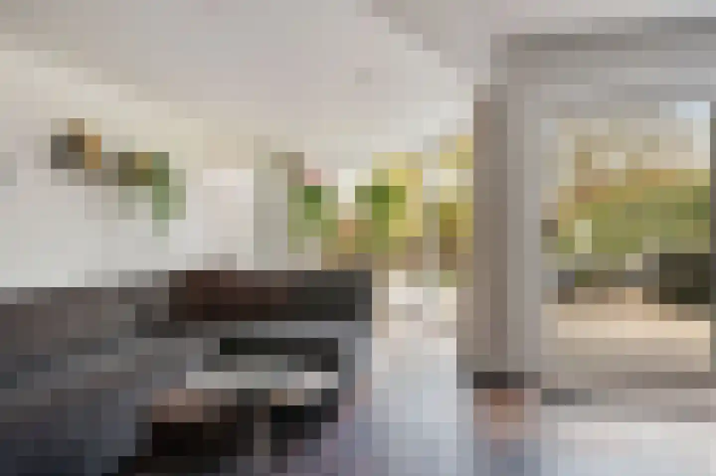 Westerhout 13 Noordwijkerhout thumbnail 8