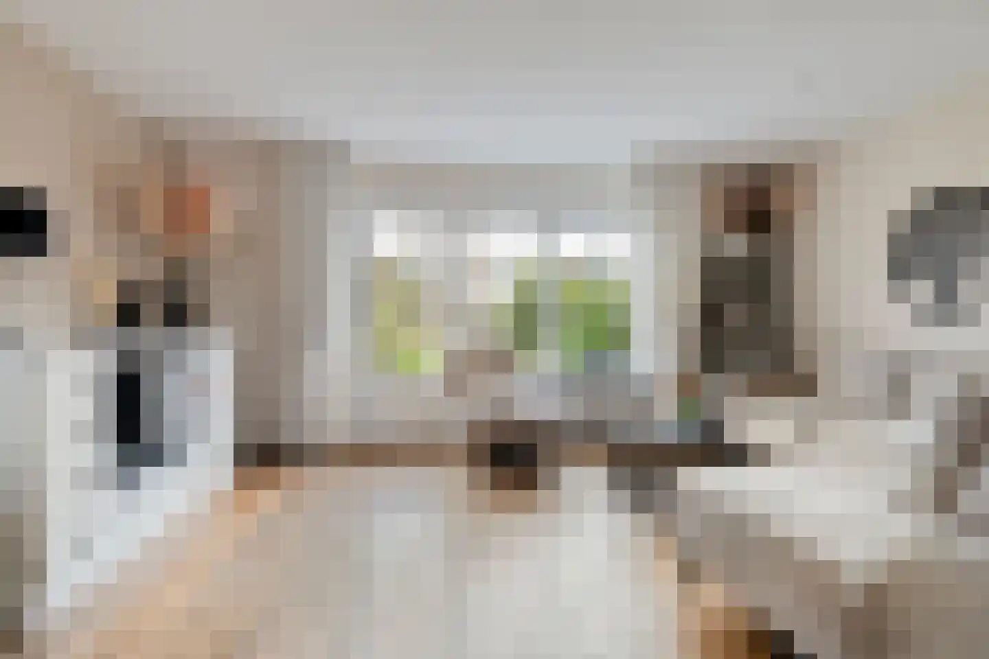 Westerhout 20 Noordwijkerhout thumbnail 11