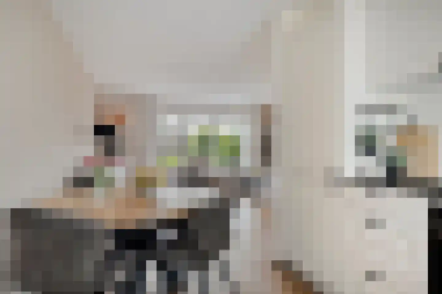 Westerhout 20 Noordwijkerhout thumbnail 18
