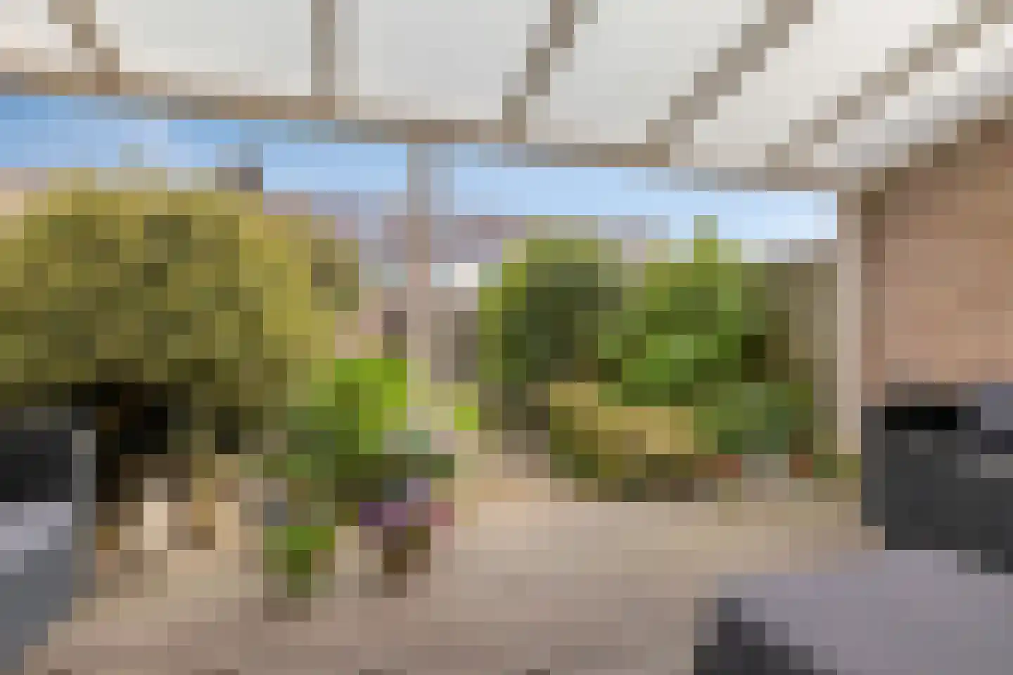 Westerhout 20 Noordwijkerhout thumbnail 30