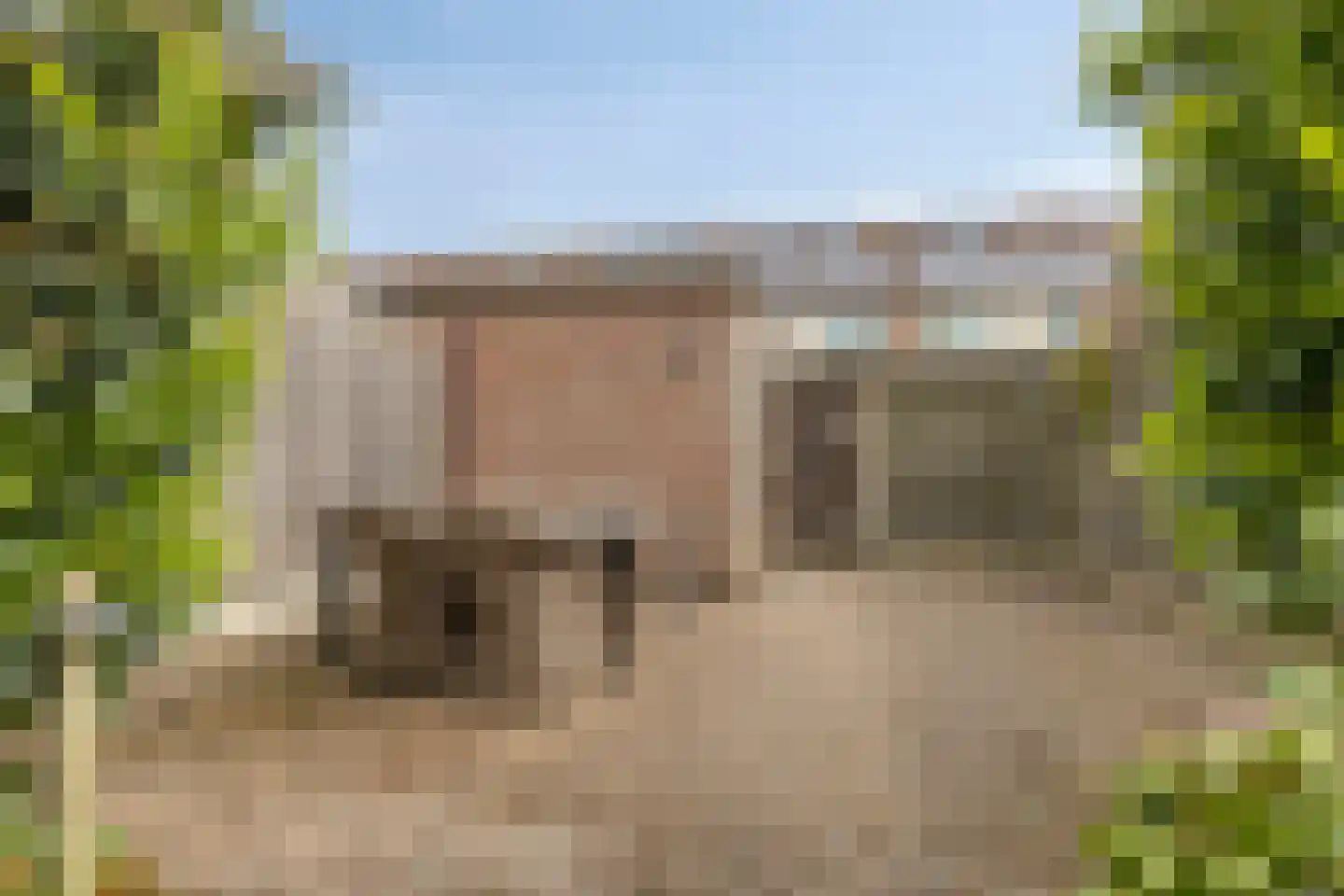 Westerhout 20 Noordwijkerhout thumbnail 32