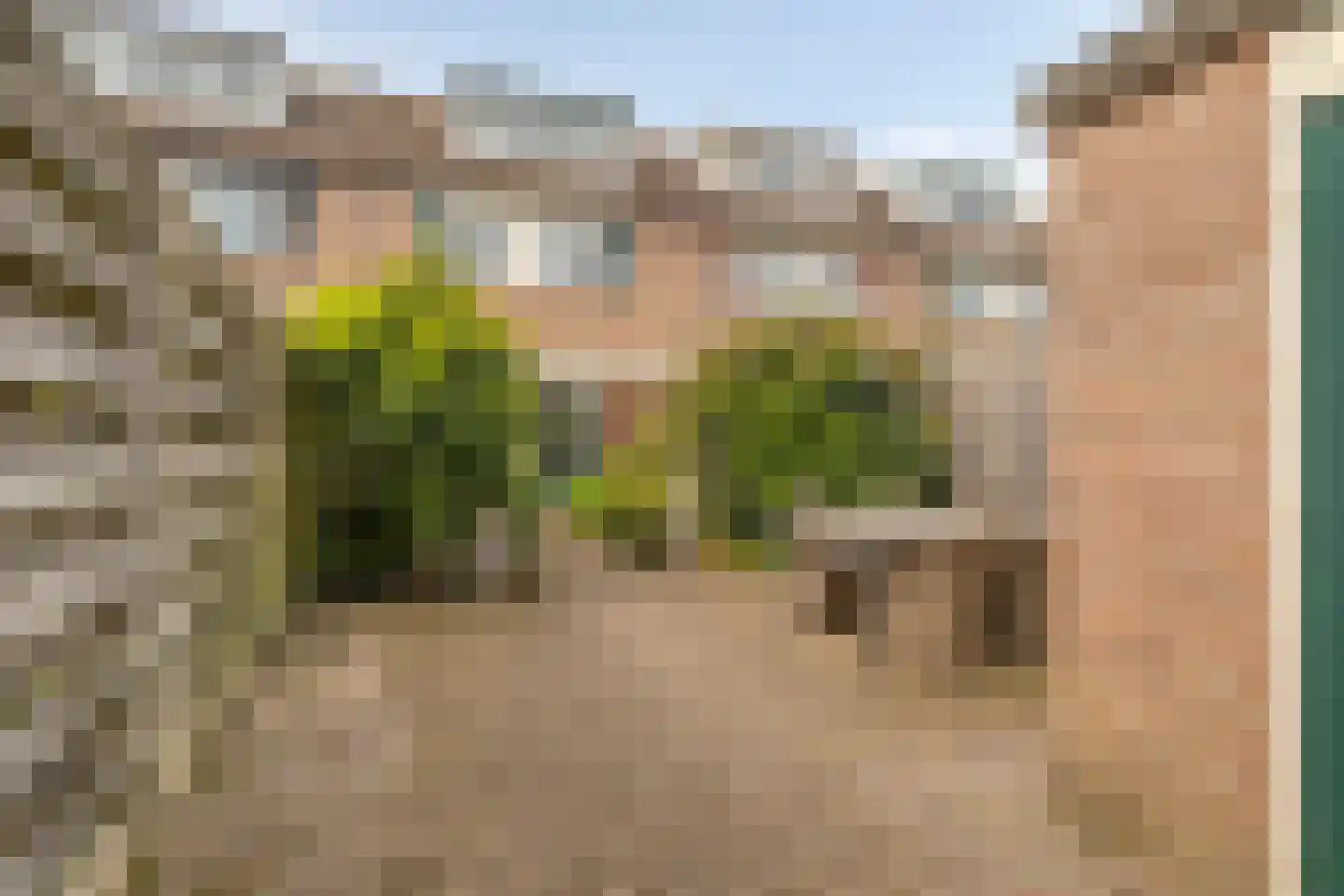 Westerhout 20 Noordwijkerhout thumbnail 33