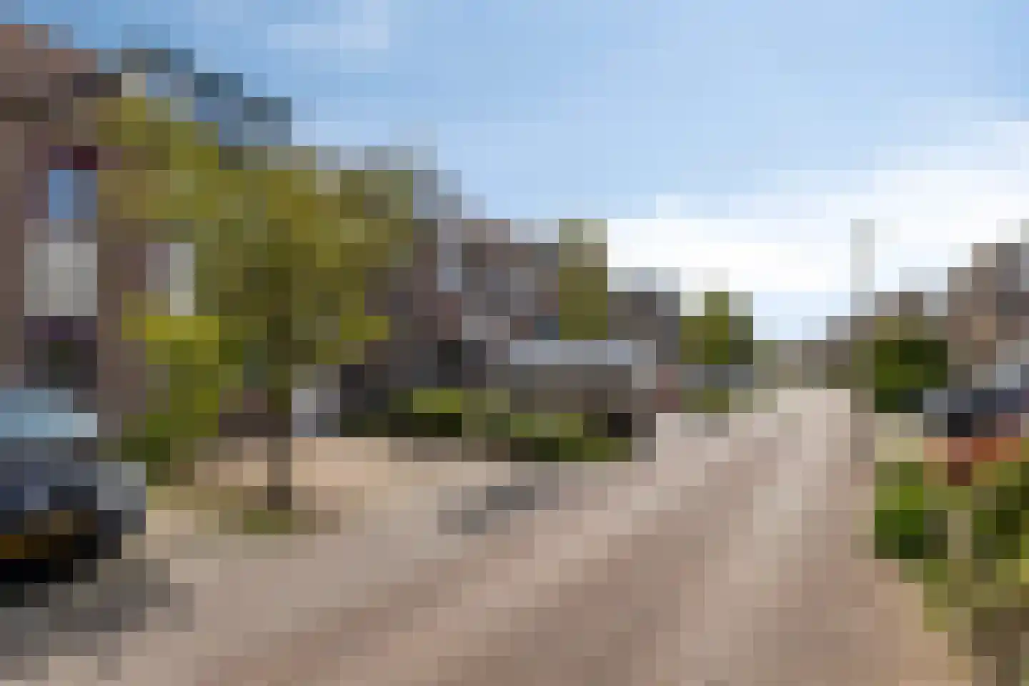 Westerhout 20 Noordwijkerhout thumbnail 5