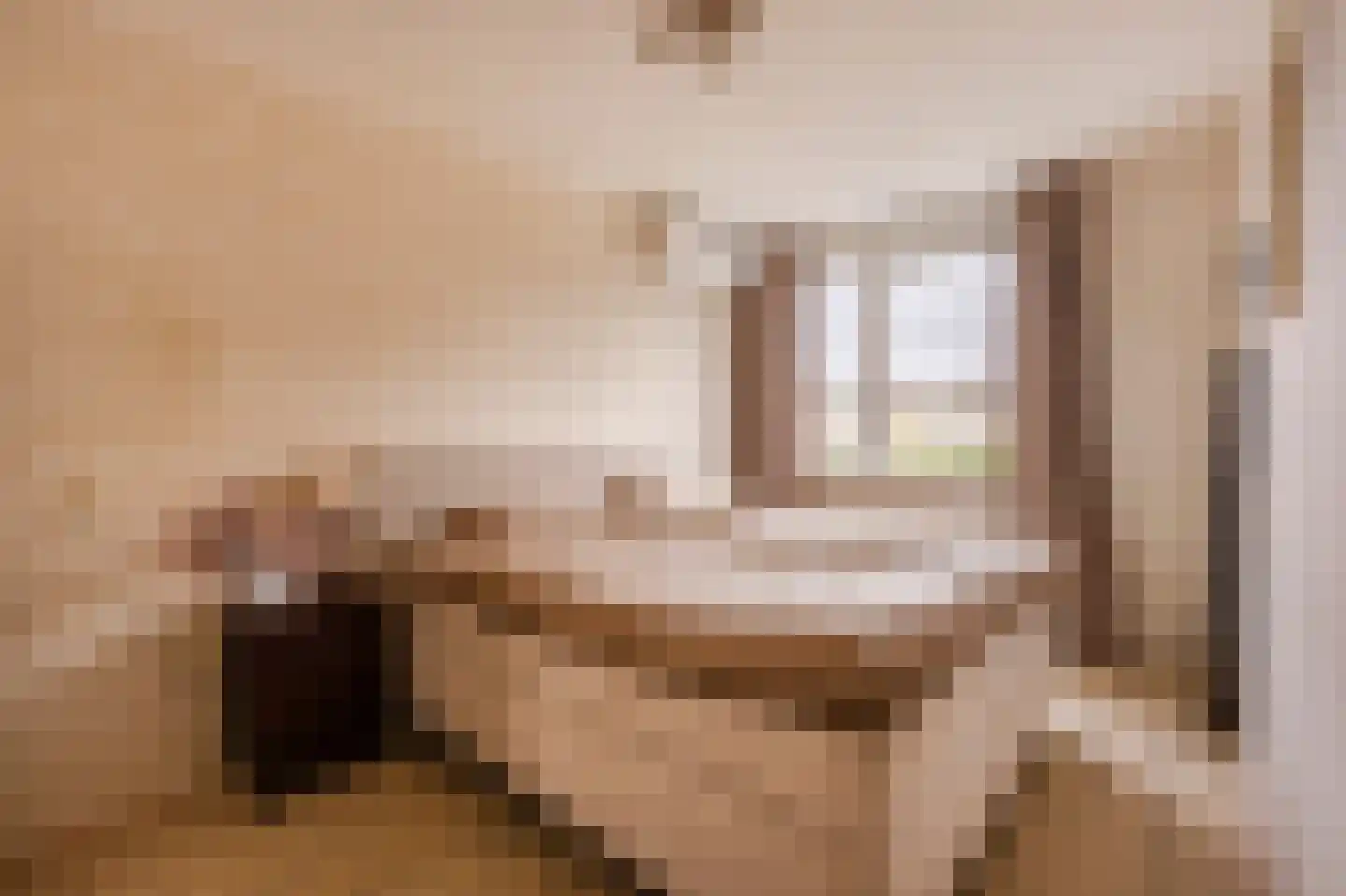 Westerhout 42 Noordwijkerhout thumbnail 20