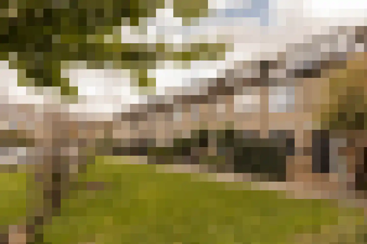 Westerhout 42 Noordwijkerhout thumbnail 34