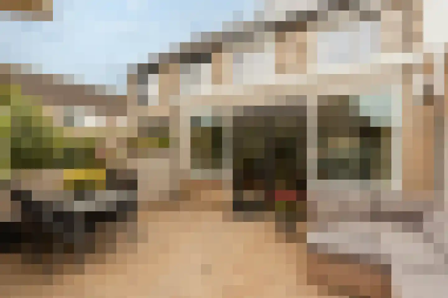 Westerhout 42 Noordwijkerhout thumbnail 7