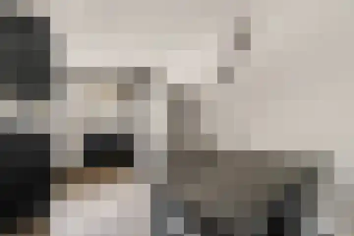 Westerhout 57 Noordwijkerhout thumbnail 10
