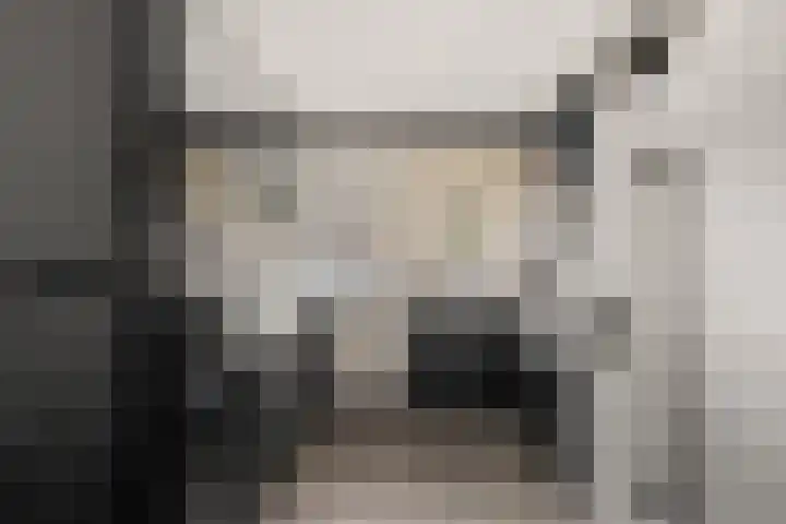 Westerhout 57 Noordwijkerhout thumbnail 11