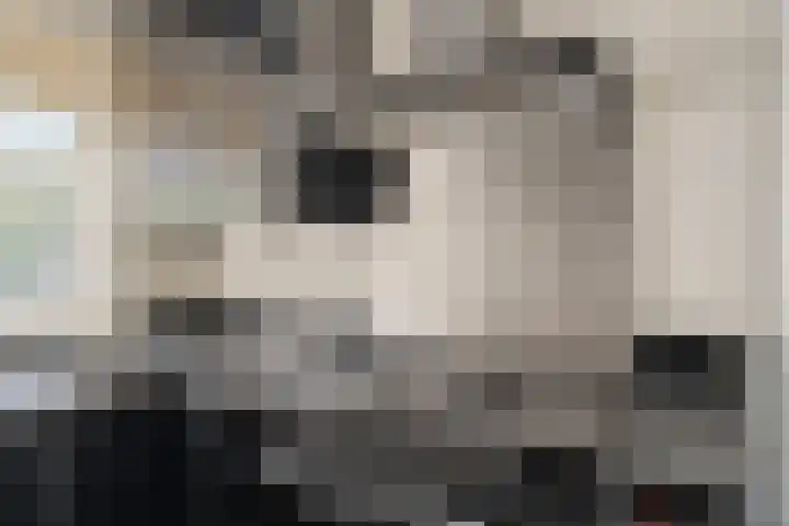 Westerhout 57 Noordwijkerhout thumbnail 12