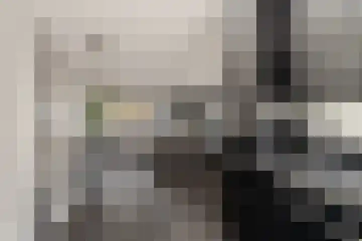 Westerhout 57 Noordwijkerhout thumbnail 13