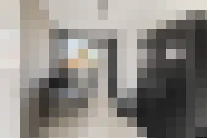 Westerhout 57 Noordwijkerhout thumbnail 22