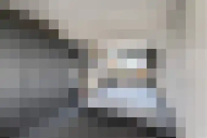 Westerhout 57 Noordwijkerhout thumbnail 25
