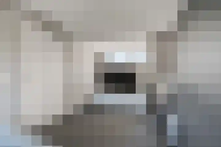 Westerhout 57 Noordwijkerhout thumbnail 26