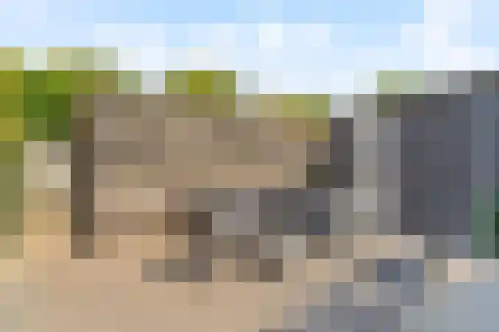 Westerhout 57 Noordwijkerhout thumbnail 30