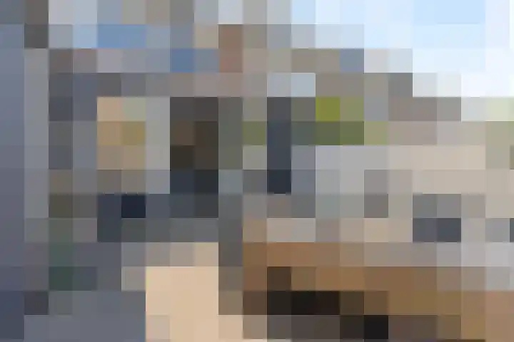 Westerhout 57 Noordwijkerhout thumbnail 31