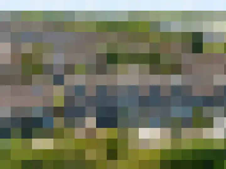 Westerhout 57 Noordwijkerhout thumbnail 33