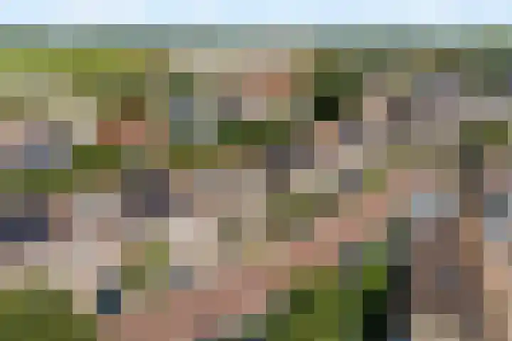 Westerhout 57 Noordwijkerhout thumbnail 42