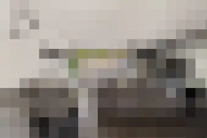 Westerhout 57 Noordwijkerhout thumbnail 6