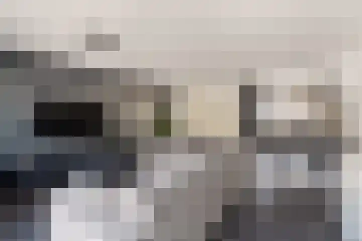Westerhout 57 Noordwijkerhout thumbnail 8