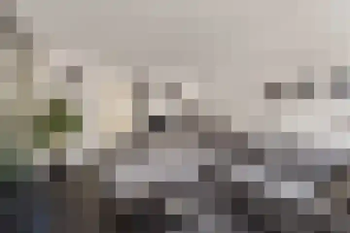 Westerhout 57 Noordwijkerhout thumbnail 9