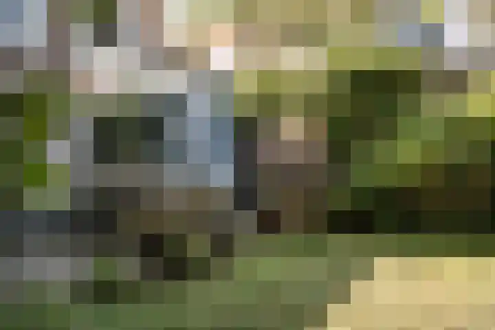 Westerhoutpark 1 Haarlem thumbnail 20