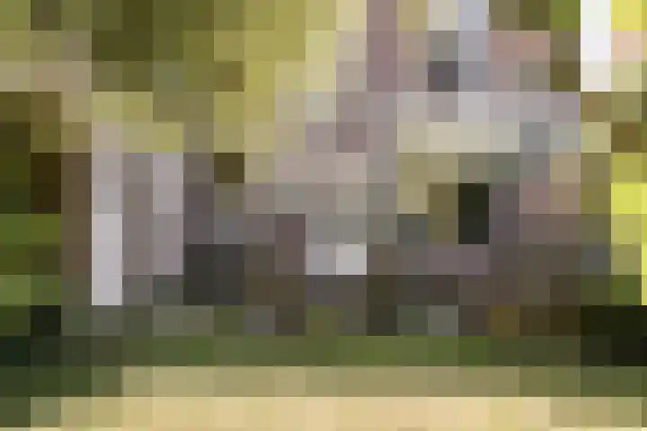 Westerhoutpark 1 Haarlem thumbnail 21